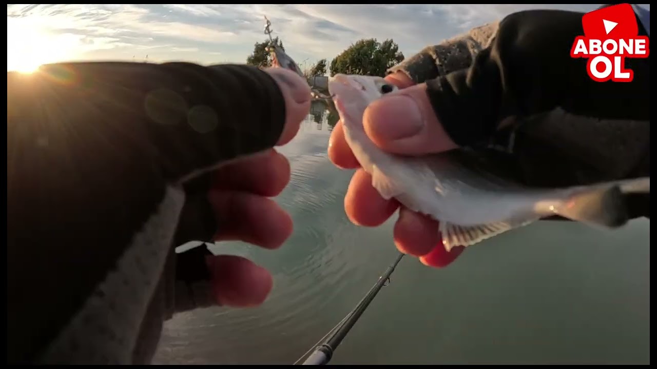 ADANA'DA BOL ÇEŞİTLİ BALIK AVI 