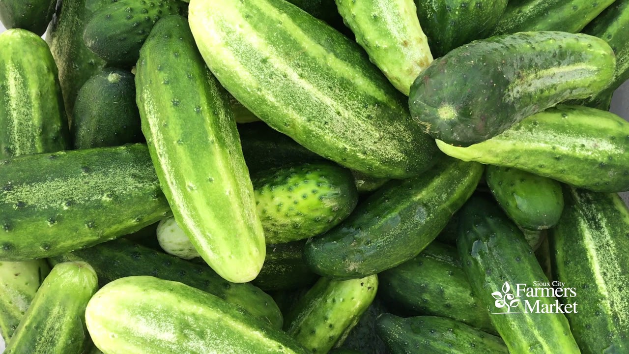 2019 Sioux City Farmers Market Promo Video