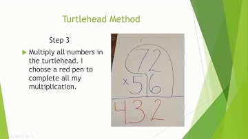 Mr. J Turtlehead method explanation.