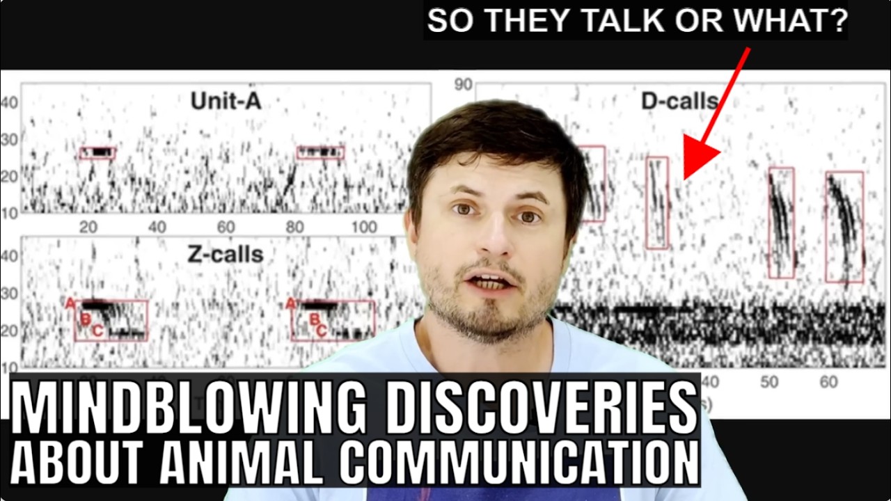 Animal Communication Studies Reveal Mindblowing Results