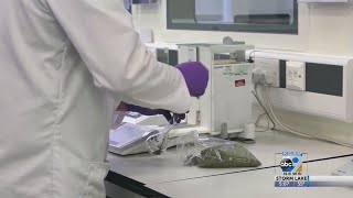 FDA approves first cannabis-based pill