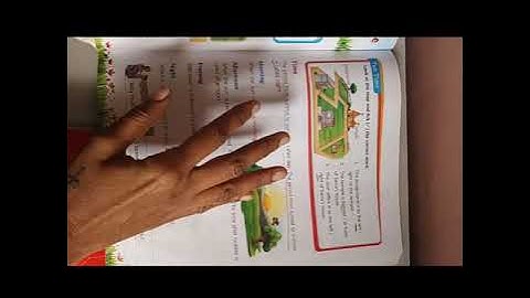 EVS GRADE-2 CH 14 DIRECTIONS AND TIME