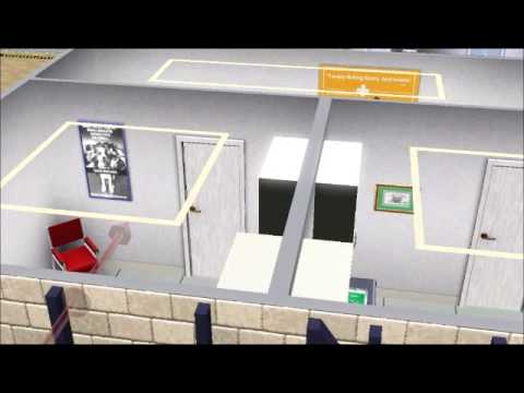 Sims 3 Advertisements & Posters (Dog & Cat) - YouTube
