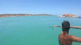 Turtle hunting