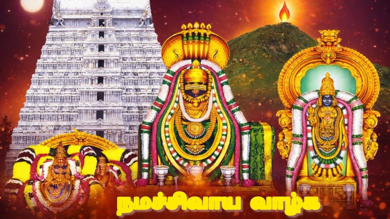 நமச்சிவாய வாழ்க 🙏 | Powerful Shiva Devotional Song | Peaceful Meditation Music