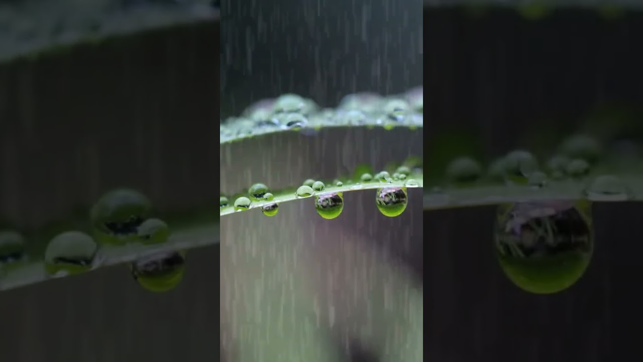 #rain