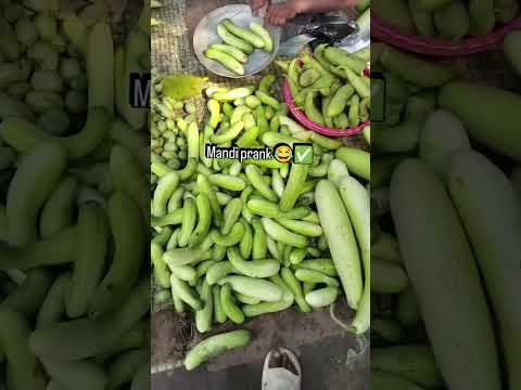 mandi#prank#funny#masti 🤣🤣