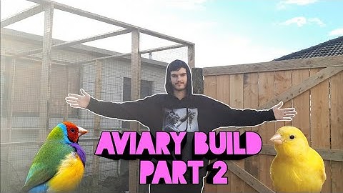 Finch Aviary Build Part 2 | Decorating Finch Aviary | Building Creek