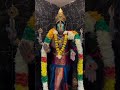 #varahi #varahidevi #varaharoopam #varahiblessings #telugubhakti #devi #tamilbhakti #bhakti #mata