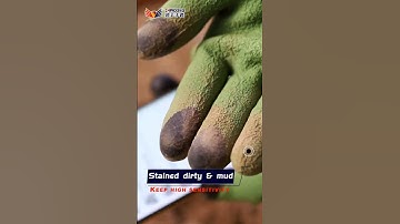 Kingsiu Touchscreen Gloves. 🧤📱💻