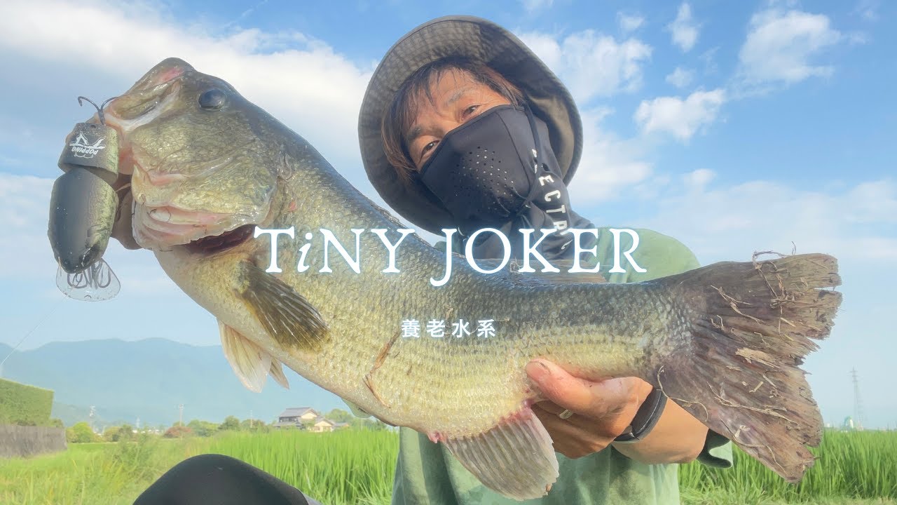 DRT】TiNY JOKER / タイニージョーカー POPPING（DRT BASS