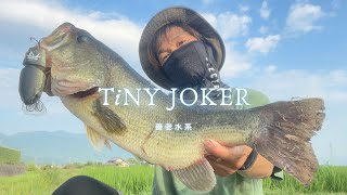 DRT】TiNY JOKER / タイニージョーカー POPPING（DRT BASS