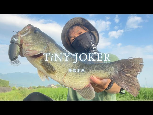 DRT】TiNY JOKER / タイニージョーカー POPPING（DRT BASS