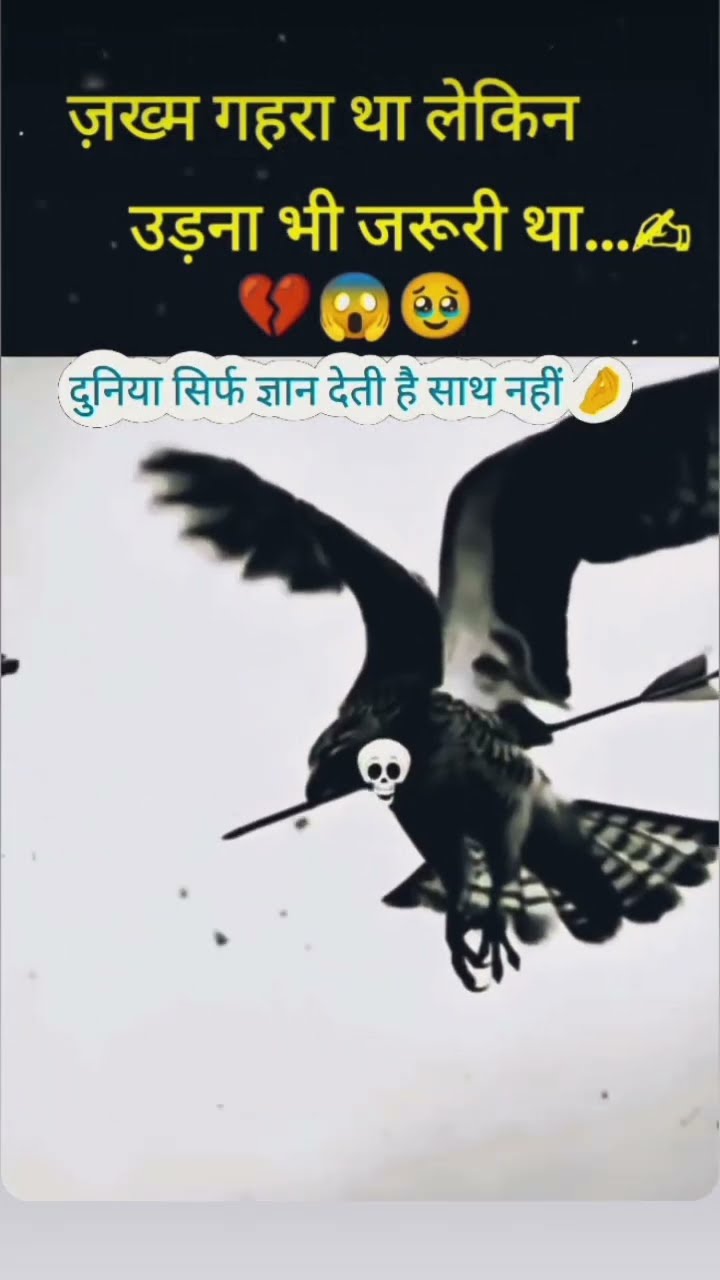 💖Love You ज़िंदगी💞 - ShareChat