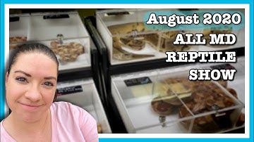 REPTILE SHOW | All Maryland Reptile Expo August 2020 | New Pickups! | Ball Python Breeding