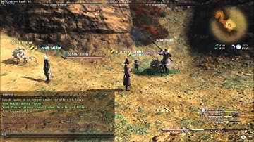 FFXIV Bot Caught in the Act