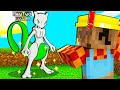 SBLOCCO MEWTWO SHINY nella PIXELMON SU MINECRAFT ITA!