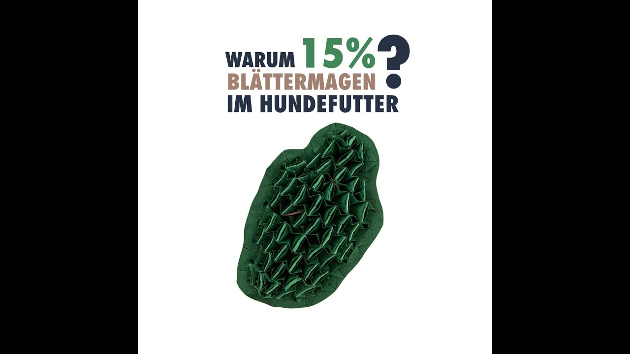 Xxl Ostfriese Tamme Hanken Heilt Vierbeiner Im Eiltempo Northeim