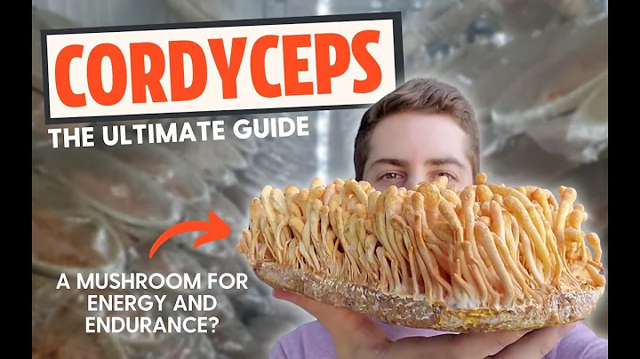 Zombie Fungus or Energy Mushroom? The Ultimate Guide To Cordyceps - DayDayNews