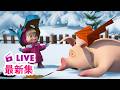 💥 最新集｜玛莎和熊 🐻👱‍♀️ 中文版 📺 公主与恶龙 👸🐉 儿童动画片｜Masha and the Bear