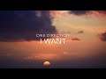Download Lagu I Want (Lyrics) - One Direction