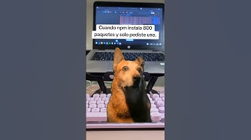 🤧 #programacion #humor #informatica #tecnologia