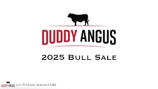 Lot 27 Duddy Maverick U101