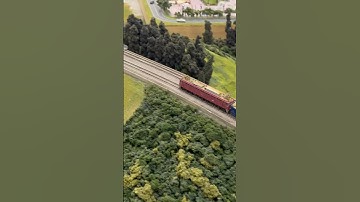 EF81 一般色（ローズピンク）＋24系 寝台特急『日本海』ウェザリング仕様