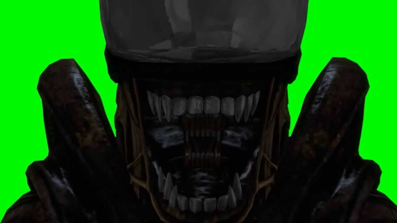 [SFM] Headbite Test - YouTube