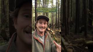 The Results of Ecological Forest Restoration in a secondgrowth forest
