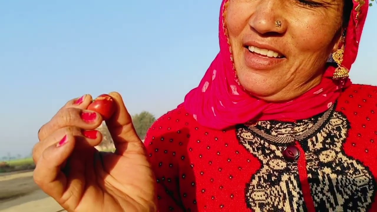 जब बैरी के बैर पक जाते हैं तो समझ लीजिए #culture #comedy #viral #village #funny #trending #art 