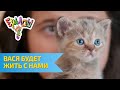 Ералаш Вася будет жить с нами (Выпуск №297)