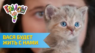 Ералаш Вася будет жить с нами (Выпуск №297)