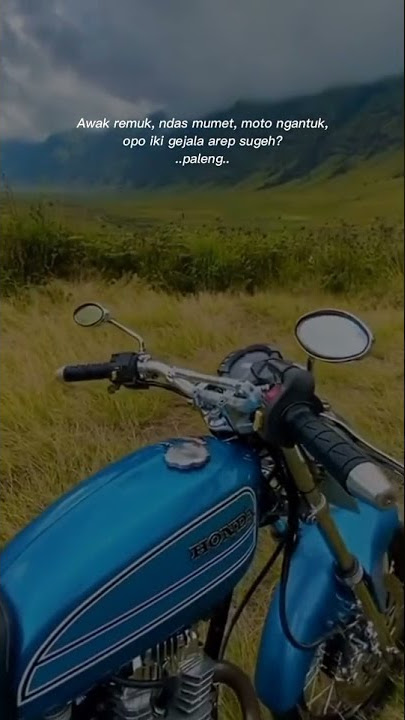story wa herex