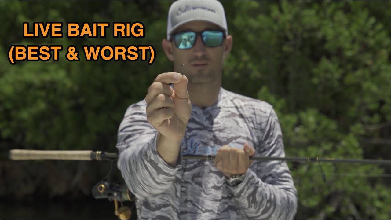 Live Bait Rigs: Best Overall Rig For Inshore Fishing (And The Worst Rig)