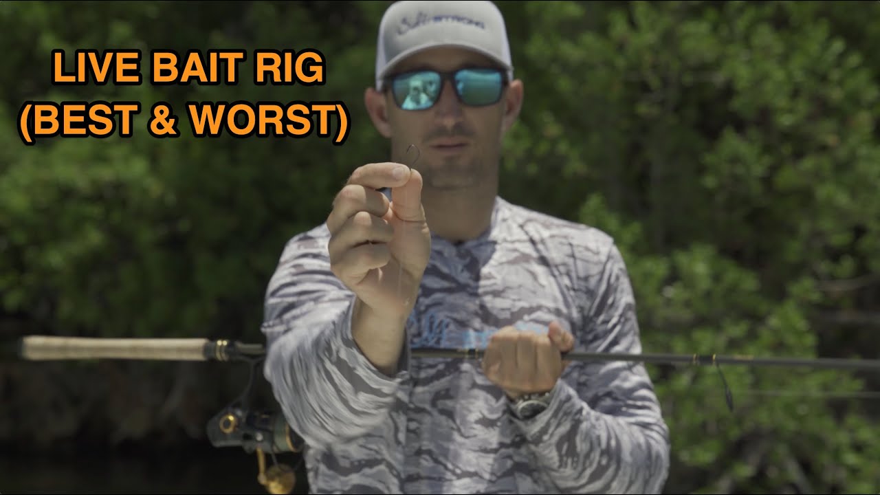 Best Overall Live Bait Rig (Plus AVOID This Pre-Tied Rig At All Costs ...