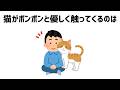 猫の雑学 #雑学 #豆知識 #ねこ