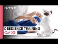 aibo | Obedience Training 101