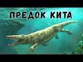 Невероятные Предки Китов