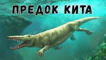 Невероятные Предки Китов