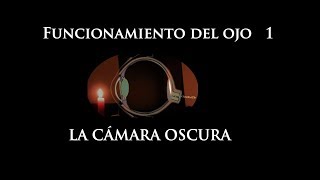 Funcionamiento del ojo 1. La cámara oscura