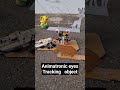 Animatronic eyes Tracking objects #animatronics #diyelectronics #eyetracking