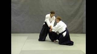 Hanmi handachi ryote dori shihonage (omote) | Справочник техник айкидо | Aikido techniques reference