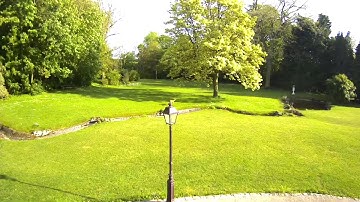 An unexpected animal - Recorded by Netatmo