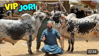 Mustafa hanif vlog 😍🤩