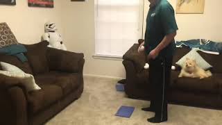 Independent practice by self-overhand throw