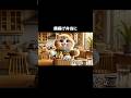 タイムマシーン3号のお弁当箱の歌　AI猫の作り方をプレゼント中🎁プロフを見てね　#AI #AI猫 #猫 #猫動画　#AICat