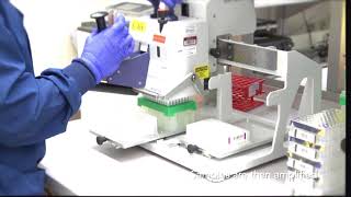 23andMe DNA Processing Lab Video