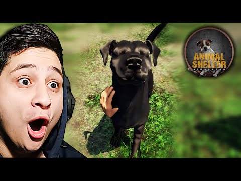 ცხოველთა თავშესაფარი მაქ | Animal Shelter Simulator