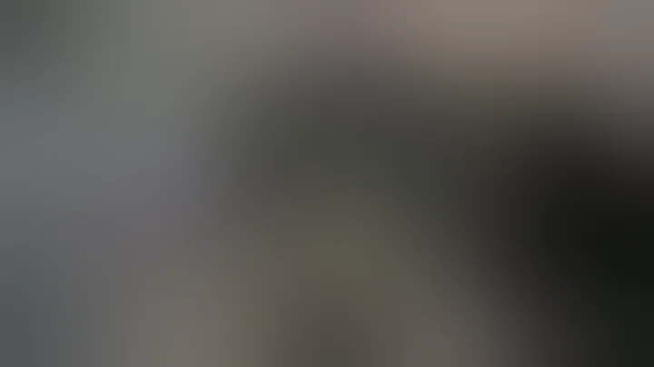 Graphic: Bodycam Footage Of Patrick Harmon Fatal S...